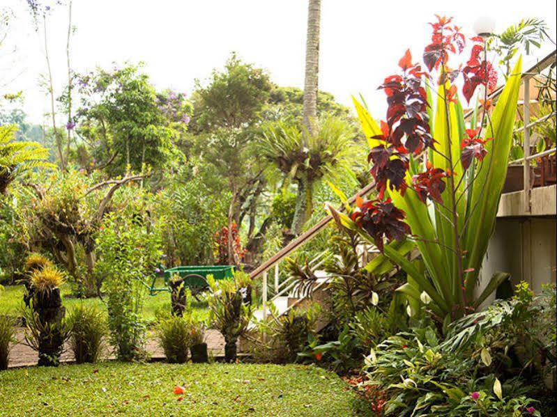 Bird Of Paradise Hotel Goroka Eksteriør billede